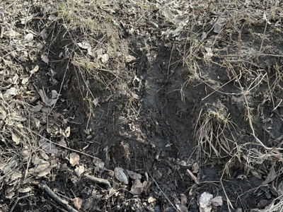 Excellent Coffey County Kansas Hunting & Build Site - image 23