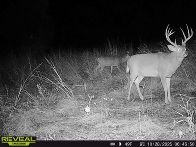 Excellent Coffey County Kansas Hunting & Build Site - image 1