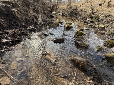 Excellent Coffey County Kansas Hunting & Build Site - image 24