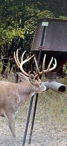 Excellent Coffey County Kansas Hunting & Build Site - image 13
