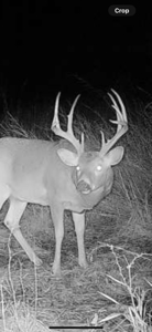Excellent Coffey County Kansas Hunting & Build Site - image 28
