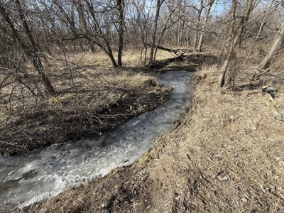 Excellent Coffey County Kansas Hunting & Build Site - image 19