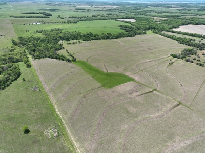 Excellent Coffey County Kansas Hunting & Build Site - image 42
