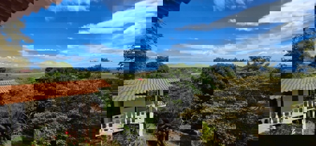 Ocean & Mountain View Estate in San Carlos | Finca Luna Grande - image 40