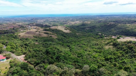 Ocean & Mountain View Estate in San Carlos | Finca Luna Grande - image 46
