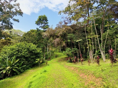 Botanical Paradise - Bocas del Toro, Panama - image 17