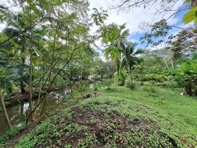 Botanical Paradise - Bocas del Toro, Panama - image 7