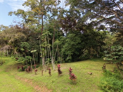 Botanical Paradise - Bocas del Toro, Panama - image 16