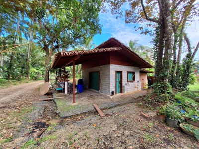 Botanical Paradise - Bocas del Toro, Panama - image 8