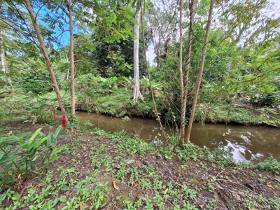 Botanical Paradise - Bocas del Toro, Panama - image 6