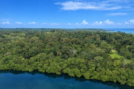 Botanical Paradise - Bocas del Toro, Panama - image 20