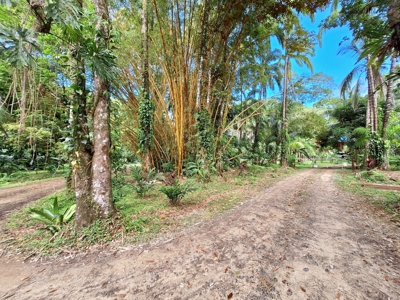 Botanical Paradise - Bocas del Toro, Panama - image 9