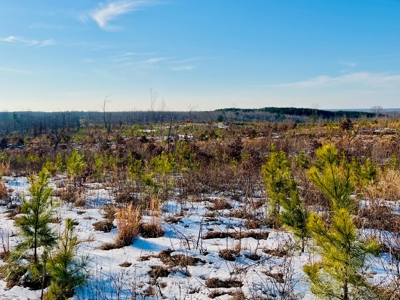 Recreation & Hunting Property 1 hr from Nashville, Benton Co., TN - image 12