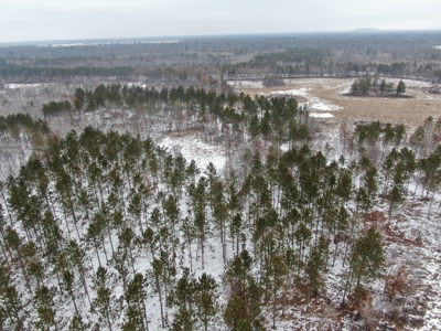 120± acre tract in the Town of Clearfield, Juneau County - image 12
