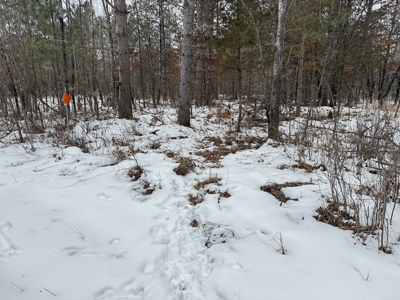 120± acre tract in the Town of Clearfield, Juneau County - image 40