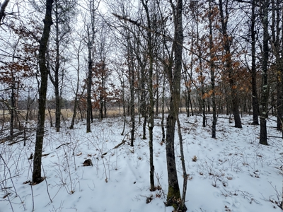 120± acre tract in the Town of Clearfield, Juneau County - image 30
