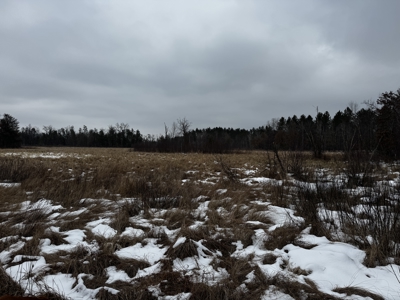 120± acre tract in the Town of Clearfield, Juneau County - image 29