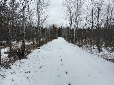 120± acre tract in the Town of Clearfield, Juneau County - image 7