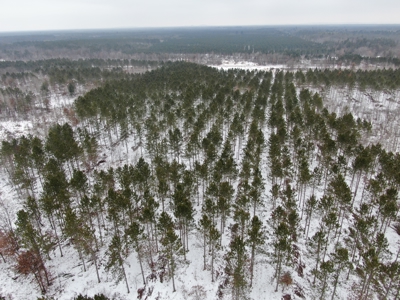 120± acre tract in the Town of Clearfield, Juneau County - image 20
