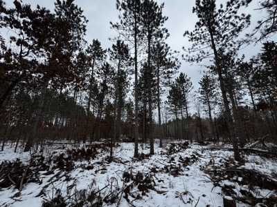 120± acre tract in the Town of Clearfield, Juneau County - image 5