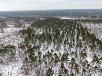 120± acre tract in the Town of Clearfield, Juneau County - image 17