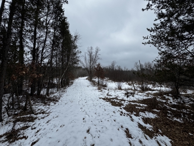 120± acre tract in the Town of Clearfield, Juneau County - image 32