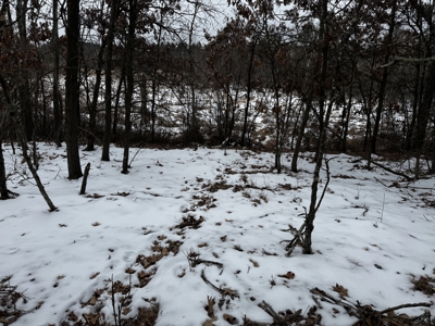 120± acre tract in the Town of Clearfield, Juneau County - image 27