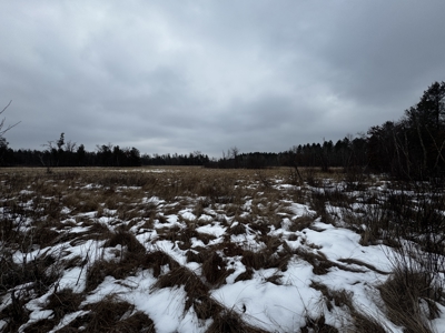 120± acre tract in the Town of Clearfield, Juneau County - image 28