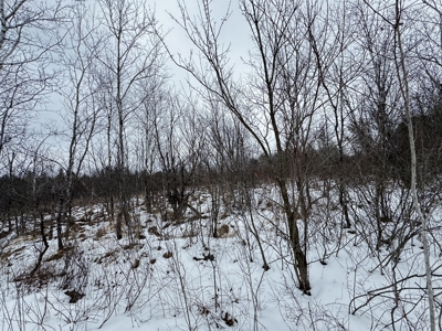 120± acre tract in the Town of Clearfield, Juneau County - image 8