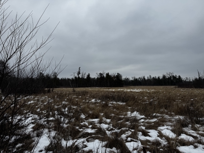 120± acre tract in the Town of Clearfield, Juneau County - image 34
