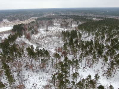 120± acre tract in the Town of Clearfield, Juneau County - image 19