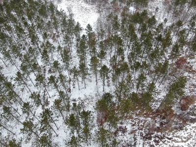 120± acre tract in the Town of Clearfield, Juneau County - image 13
