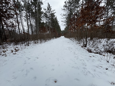 120± acre tract in the Town of Clearfield, Juneau County - image 25