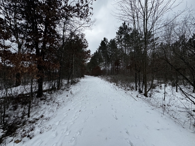 120± acre tract in the Town of Clearfield, Juneau County - image 37