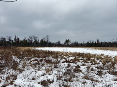 120± acre tract in the Town of Clearfield, Juneau County - image 39
