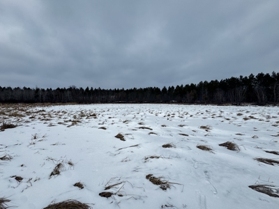 120± acre tract in the Town of Clearfield, Juneau County - image 43