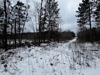 120± acre tract in the Town of Clearfield, Juneau County - image 38