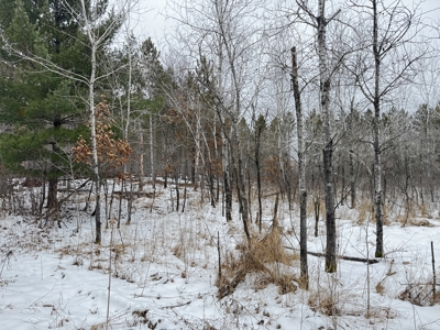 120± acre tract in the Town of Clearfield, Juneau County - image 41