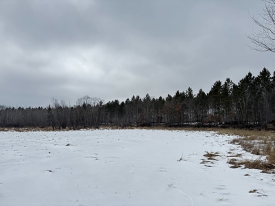 120± acre tract in the Town of Clearfield, Juneau County - image 42