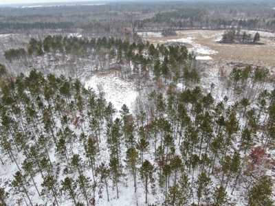 120± acre tract in the Town of Clearfield, Juneau County - image 14