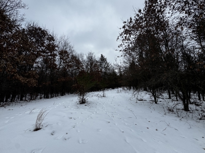 120± acre tract in the Town of Clearfield, Juneau County - image 33