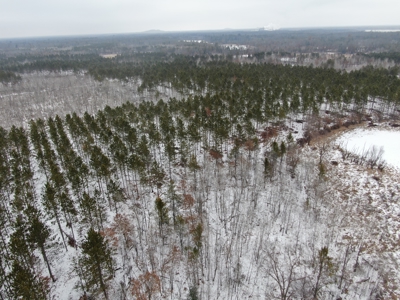 120± acre tract in the Town of Clearfield, Juneau County - image 10
