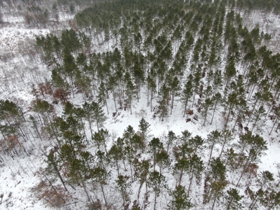120± acre tract in the Town of Clearfield, Juneau County - image 18
