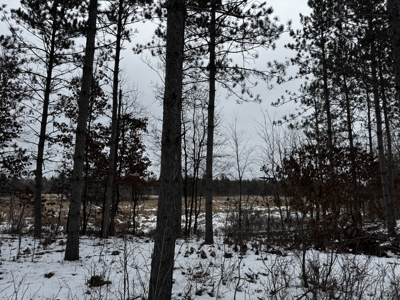 120± acre tract in the Town of Clearfield, Juneau County - image 31