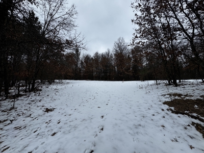 120± acre tract in the Town of Clearfield, Juneau County - image 9