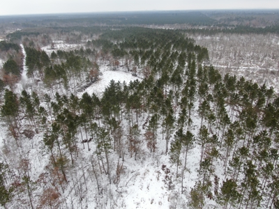 120± acre tract in the Town of Clearfield, Juneau County - image 16
