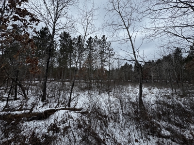 120± acre tract in the Town of Clearfield, Juneau County - image 36
