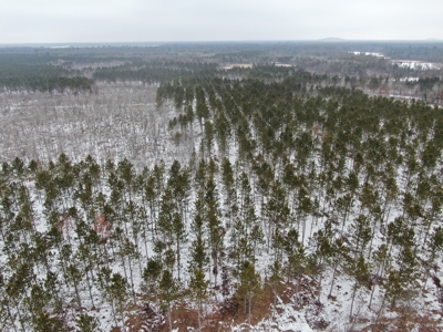 120± acre tract in the Town of Clearfield, Juneau County - image 11
