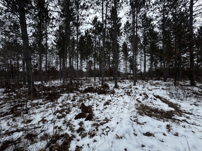 120± acre tract in the Town of Clearfield, Juneau County - image 35