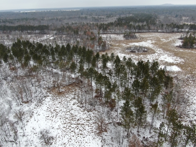 120± acre tract in the Town of Clearfield, Juneau County - image 15